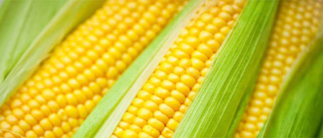 Recipe: Sweet corn and radicchio salad