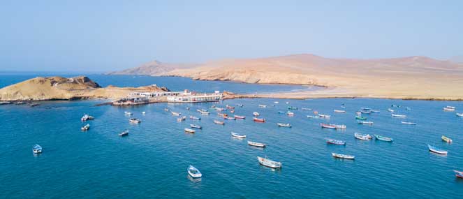 Fish oil source | Blackmores