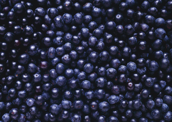 bilberry600x425