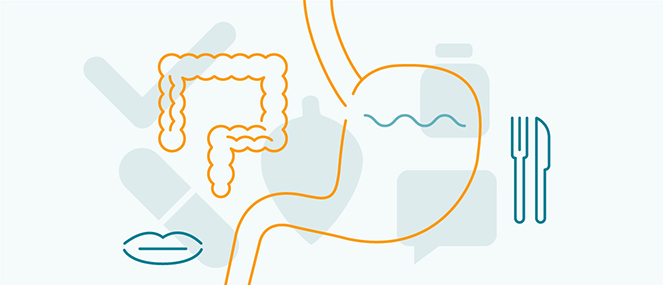 Illustration_topics_0405_DigestiveHealth663x285