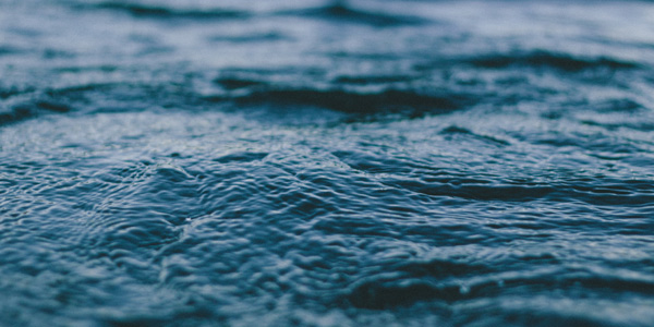 nutritionaloilsfeature